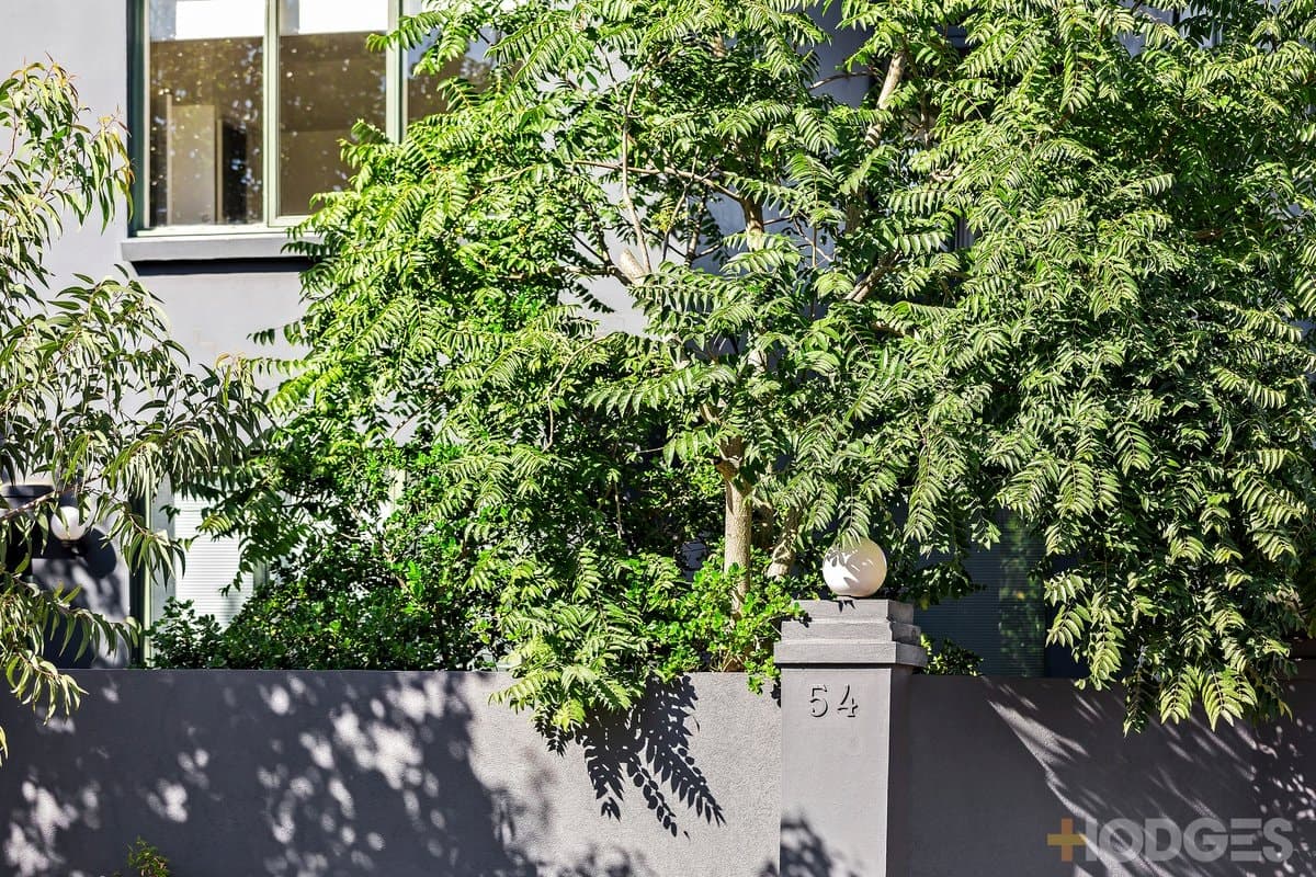 4 / 54 Hotham Street, St Kilda East, VIC, 3183, St Kilda East - Image 1