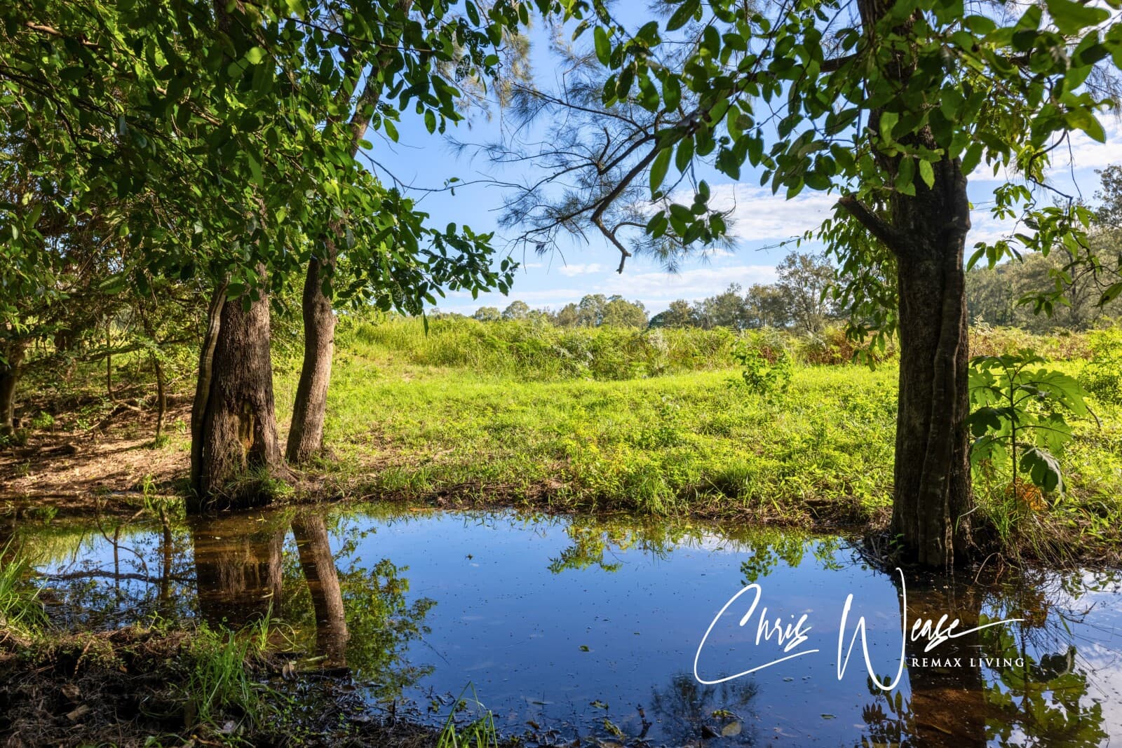 1216 Sandy Creek Road Sandy Creek QLD 4515, Sandy Creek - Thumbnail 5