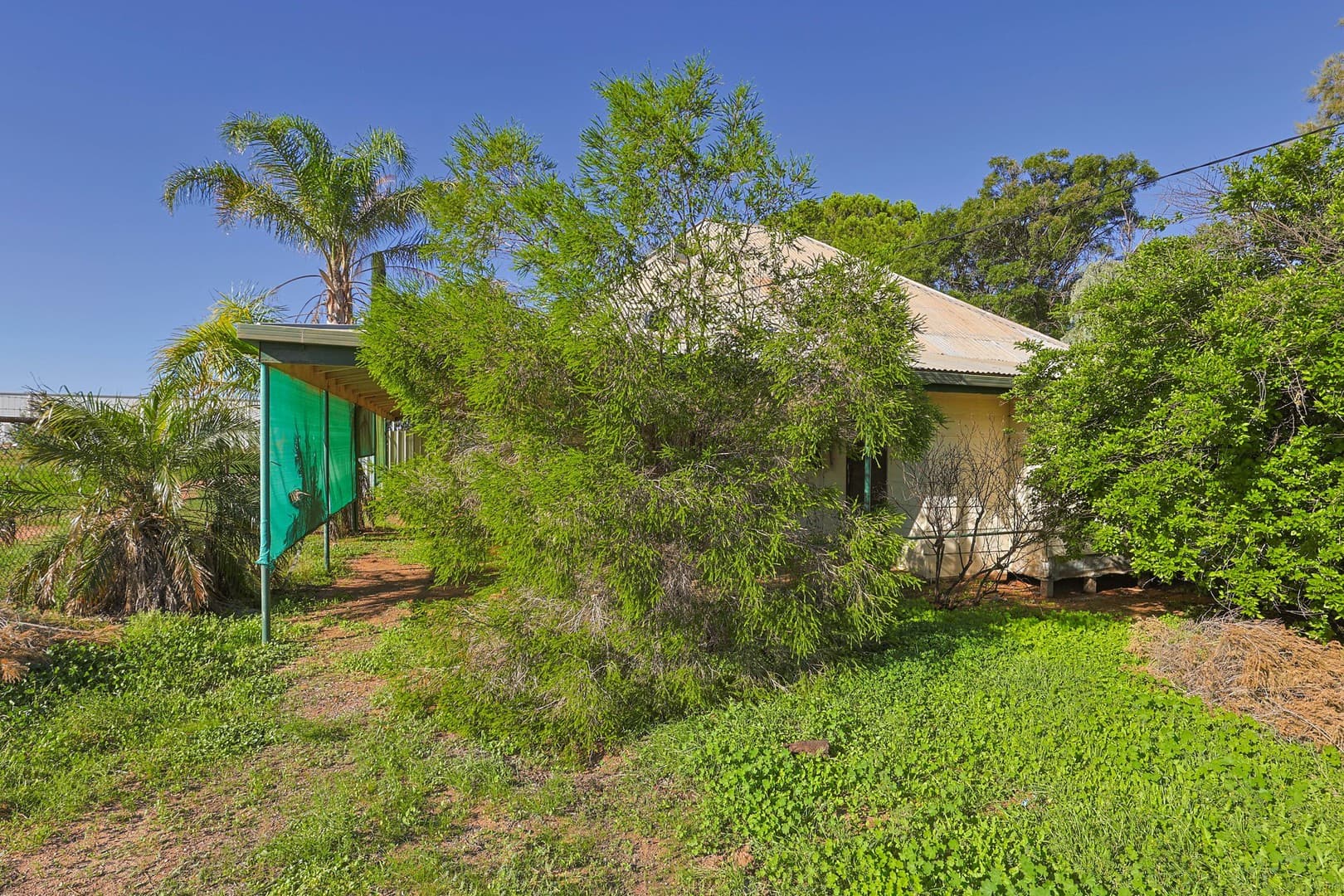 615 Fifteenth Street, Mildura, VIC 3500, Mildura - Thumbnail 5