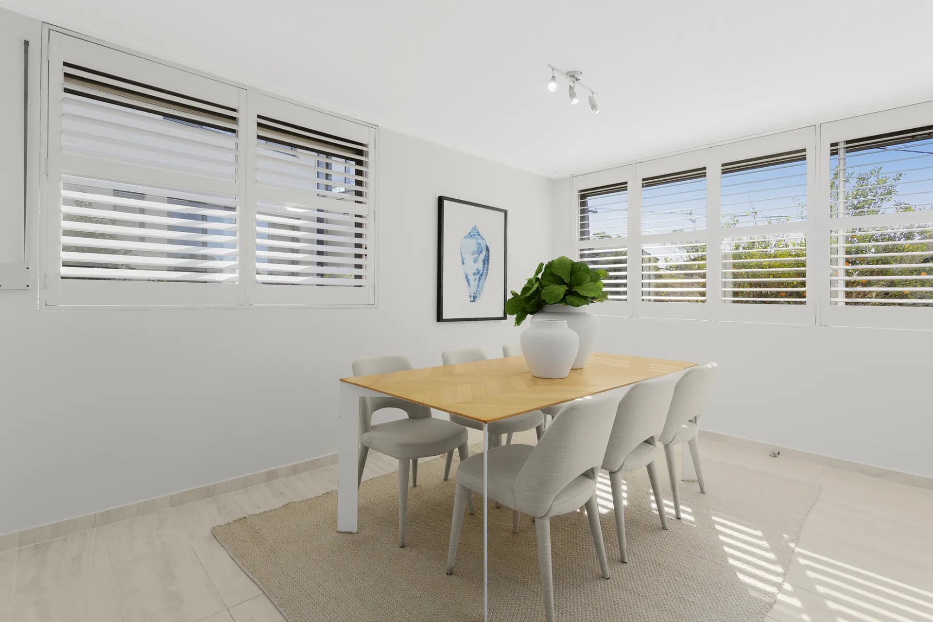 55 Beacon Hill Road, Beacon Hill, NSW, Beacon Hill - Thumbnail 4