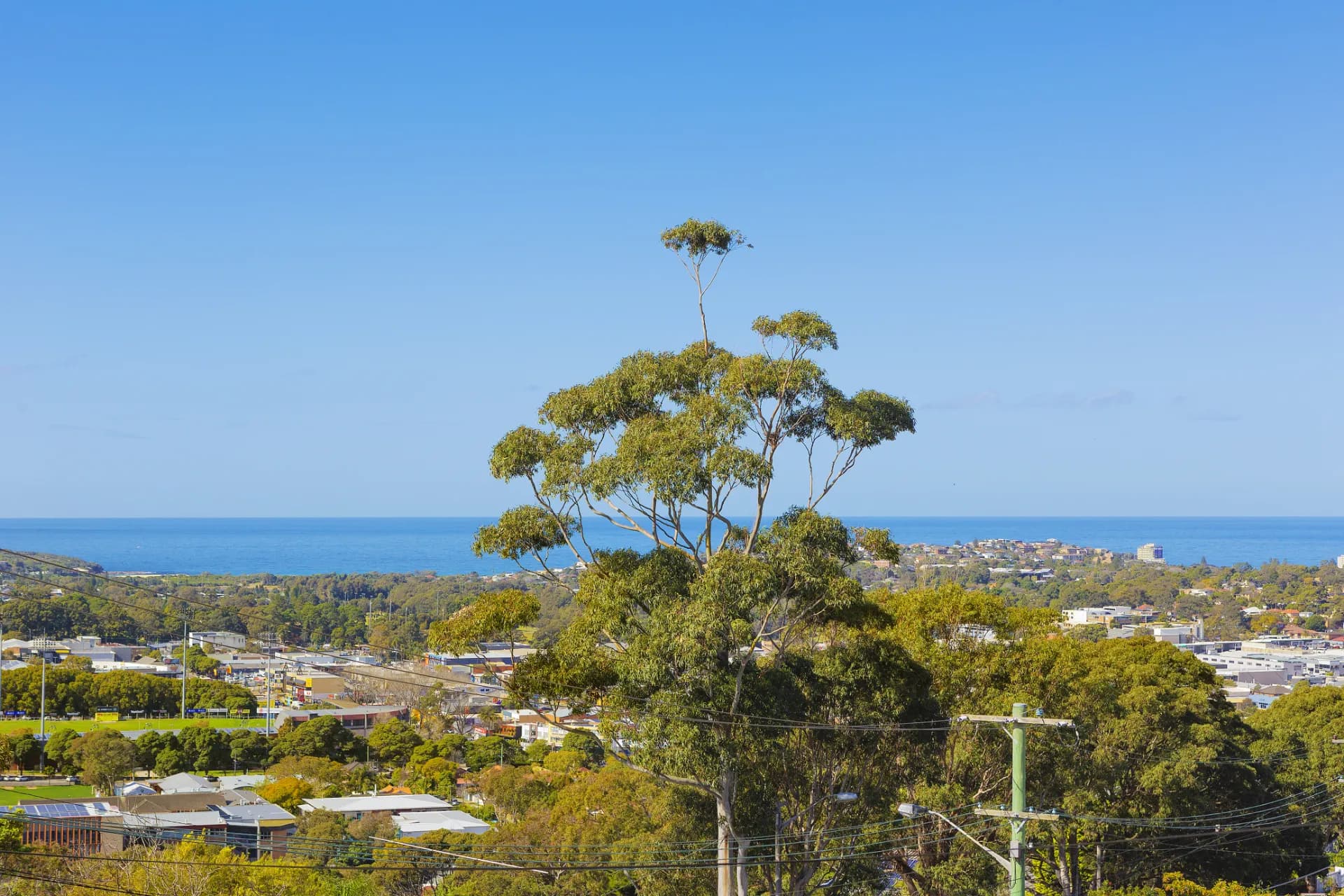 55 Beacon Hill Road, Beacon Hill, NSW, Beacon Hill - Thumbnail 5