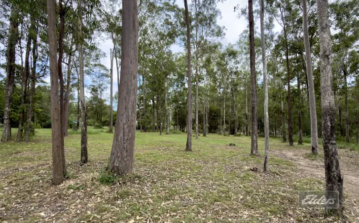 Lot 503 Wards Road, Glenwood, QLD, 4570, Glenwood - Thumbnail 4