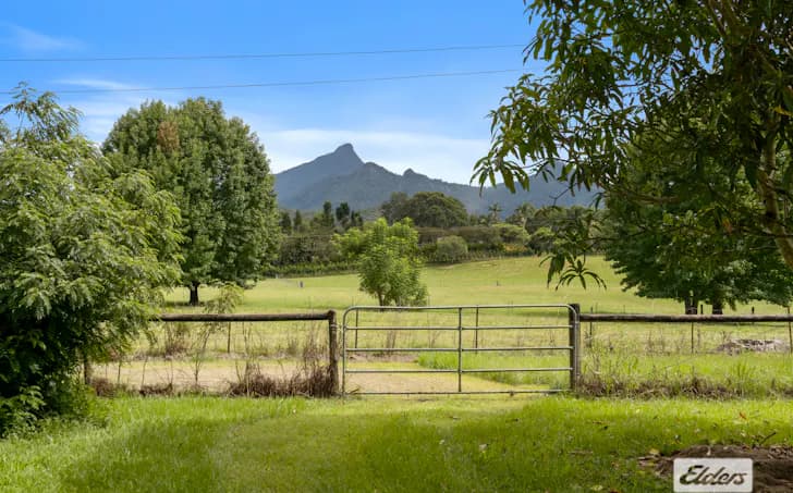 32 Chowan Creek Road, Rowlands Creek, NSW, 2484, Rowlands Creek - Thumbnail 4