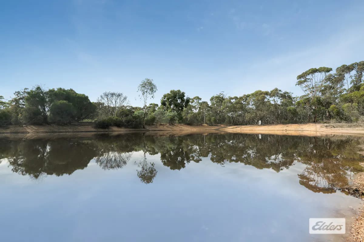60 Carneys Road, Eppalock, VIC, 3551, Eppalock - Thumbnail 2