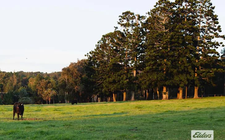 691 Wisemans Ferry Road, Somersby, NSW, 2250, Somersby - Thumbnail 6