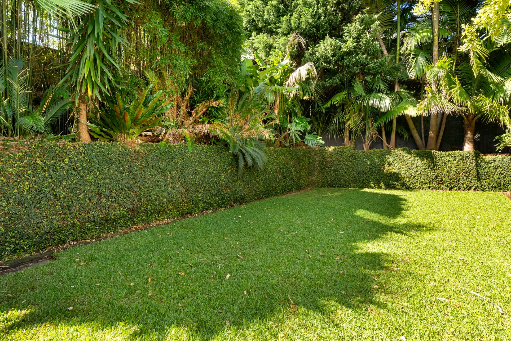 3 Plateau Road, Collaroy NSW 2097, Collaroy - Thumbnail 4