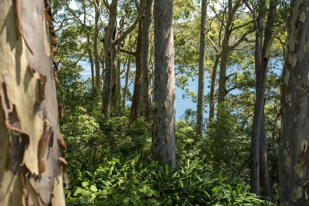 58 Kings Point Drive, Kings Point - Thumbnail 7