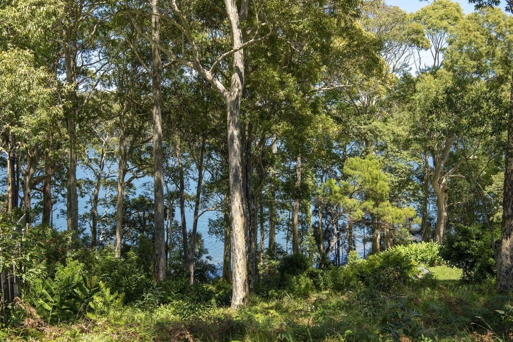58 Kings Point Drive, Kings Point - Thumbnail 8