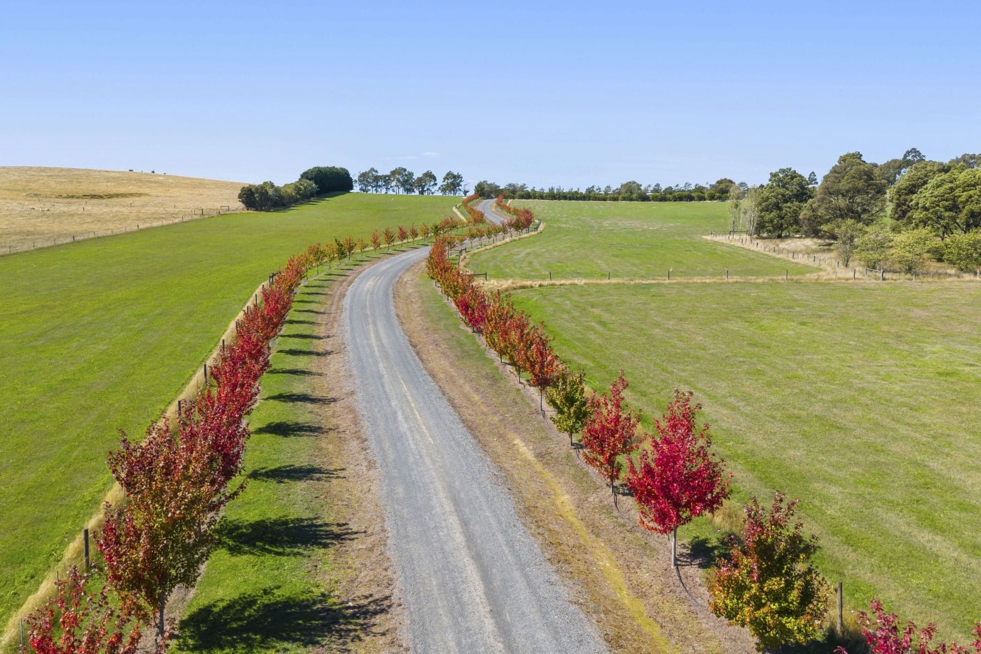 109 Gascards Lane, Ballan, Ballan - Thumbnail 3