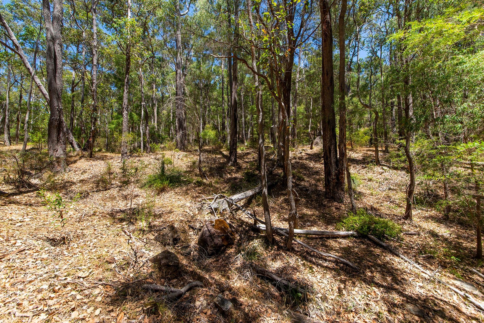 9853 Vasse Highway, Peerabeelup WA 6260, Peerabeelup - Thumbnail 4