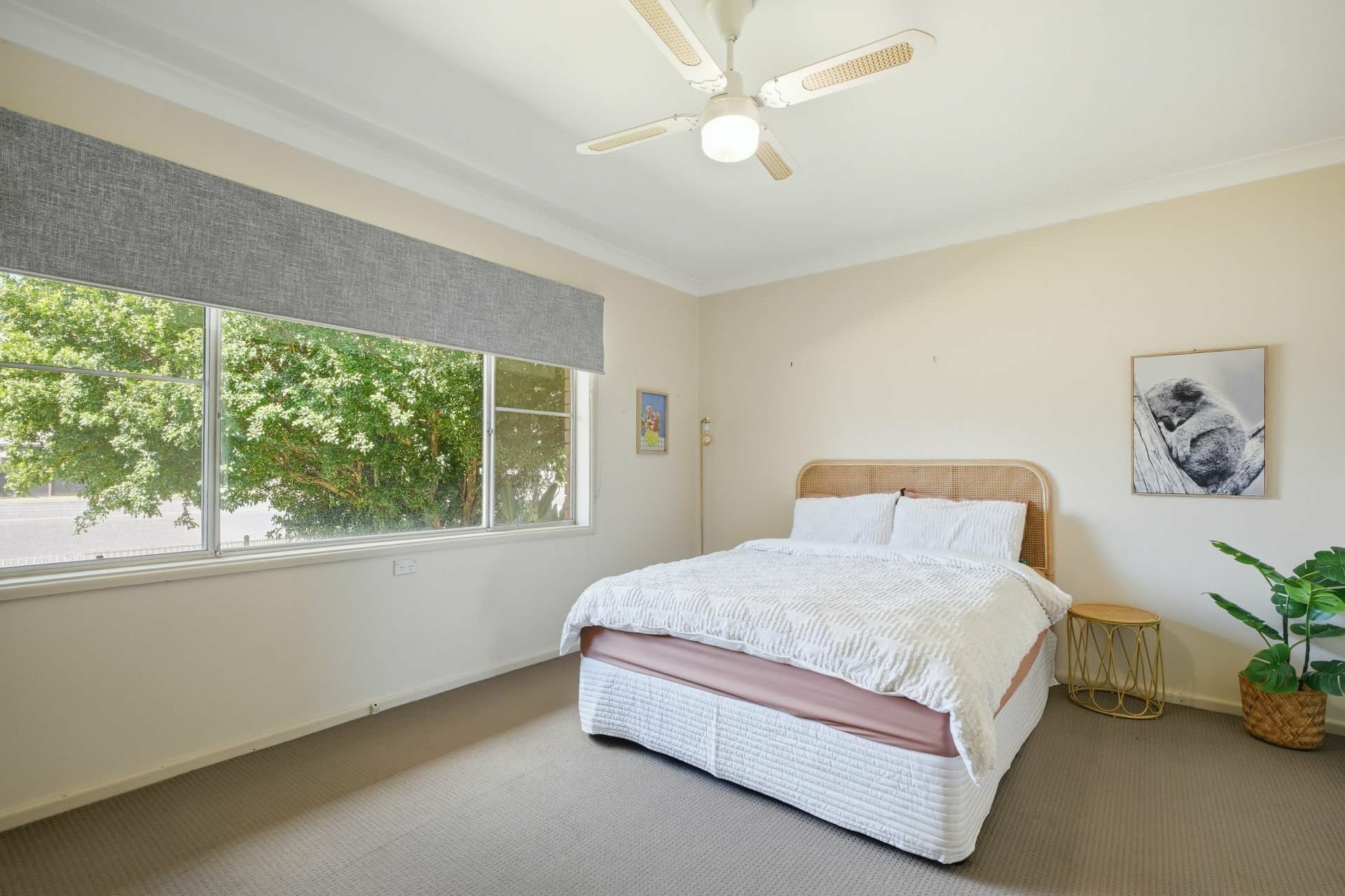 156A Dandaloo Street, Narromine, Narromine - Thumbnail 6