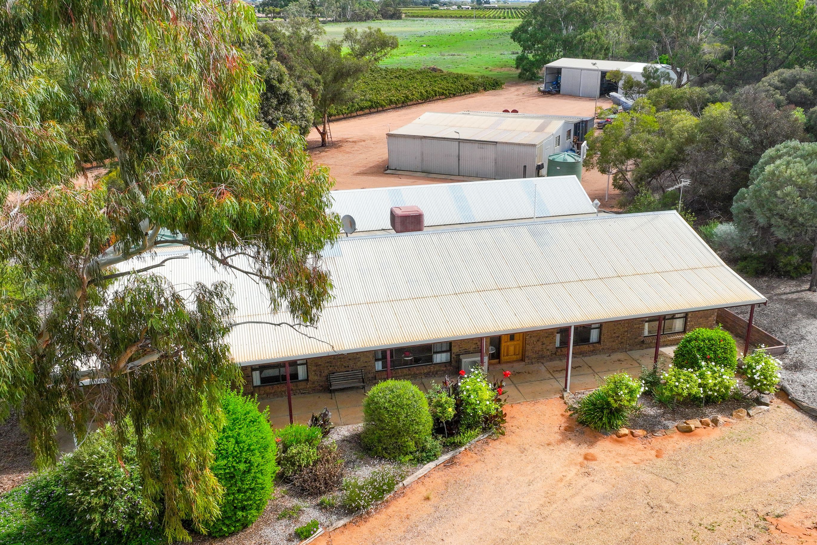 129 Evans Road, Barmera SA 5345, Barmera - Thumbnail 3