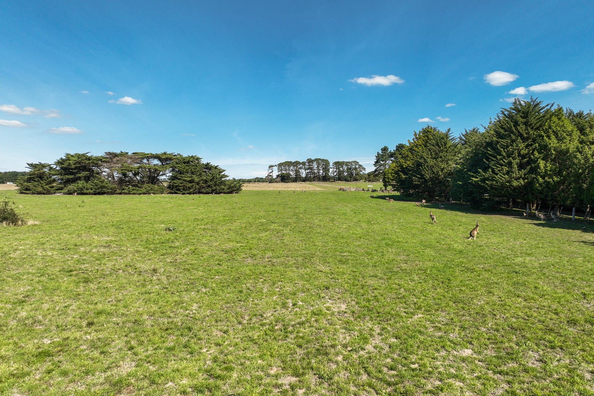 15 McGregor Road, Gisborne - Thumbnail 5