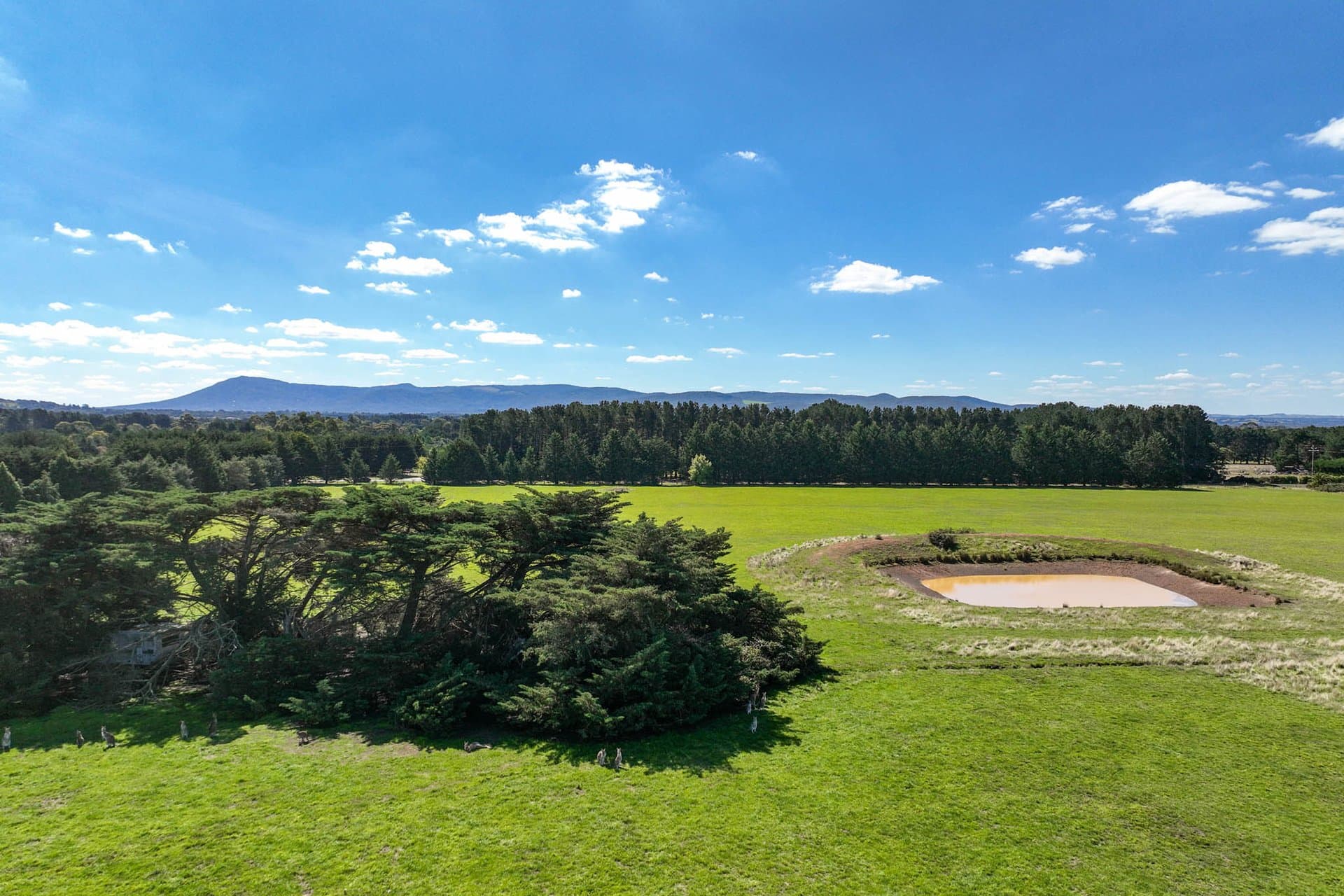 15 McGregor Road, Gisborne - Thumbnail 8