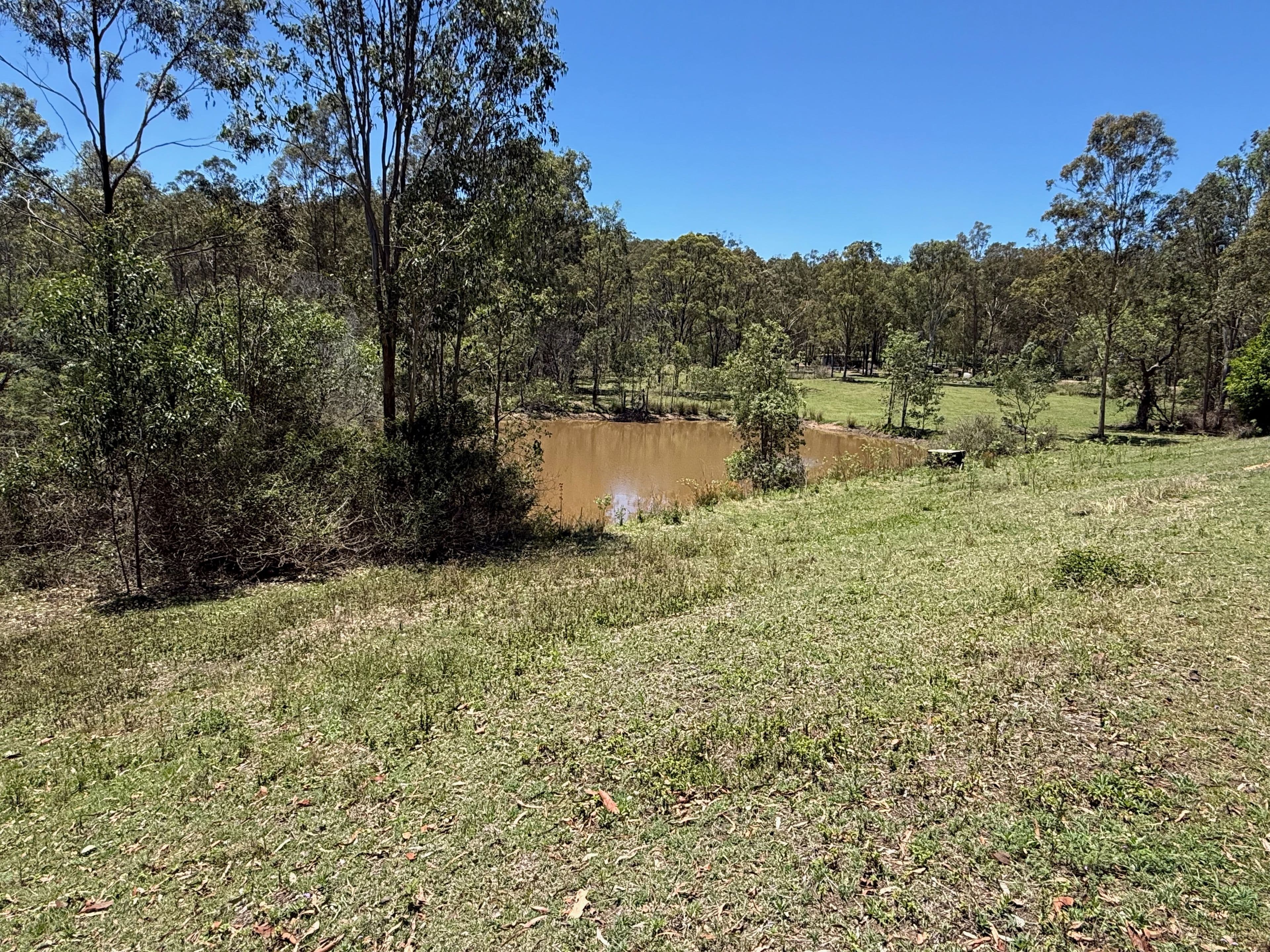 22 Cramer Avenue, Laidley South QLD 4341, Laidley South - Thumbnail 4