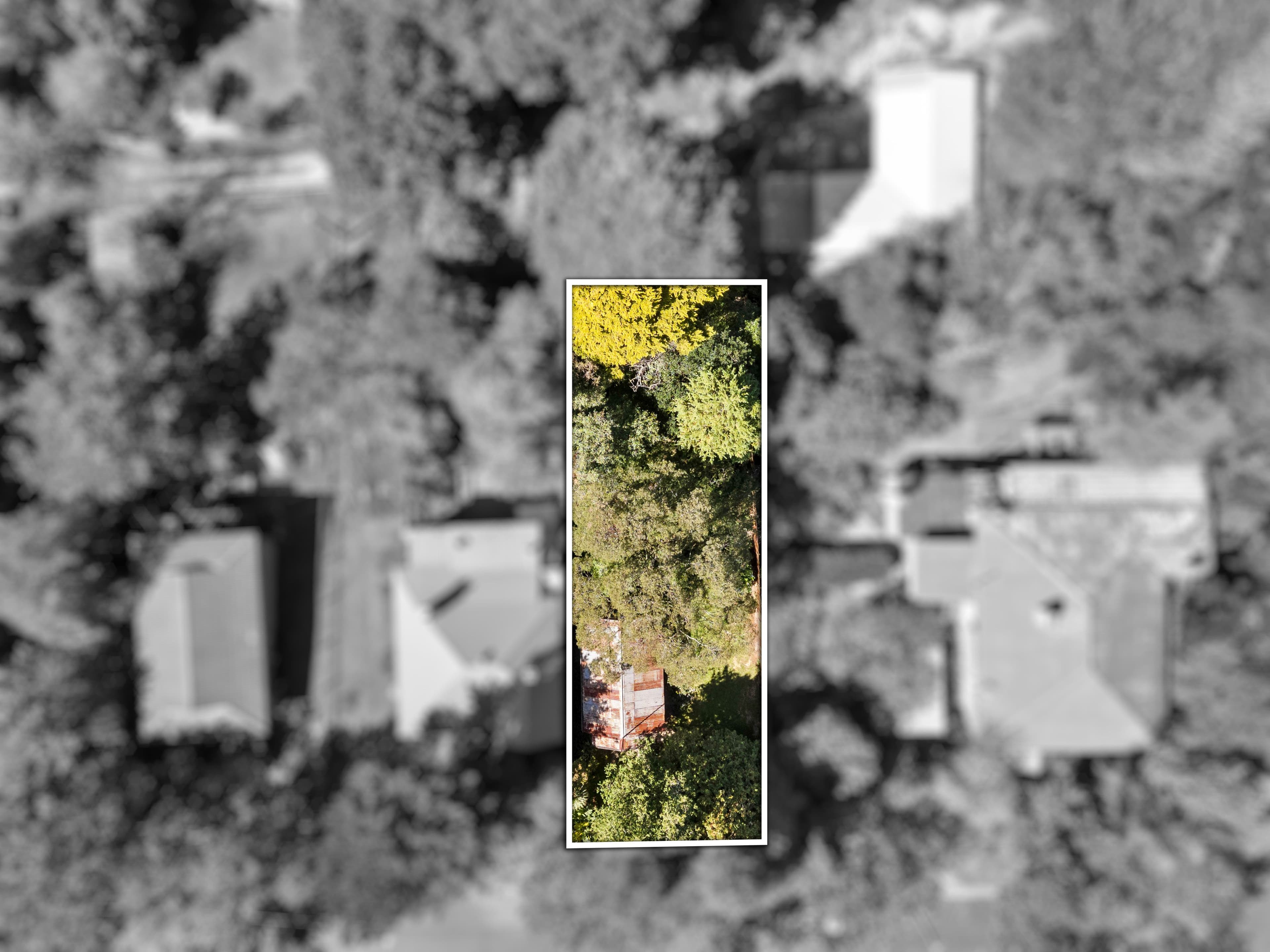 3 Carysfort Street, Blackheath NSW 2785, Blackheath - Thumbnail 3