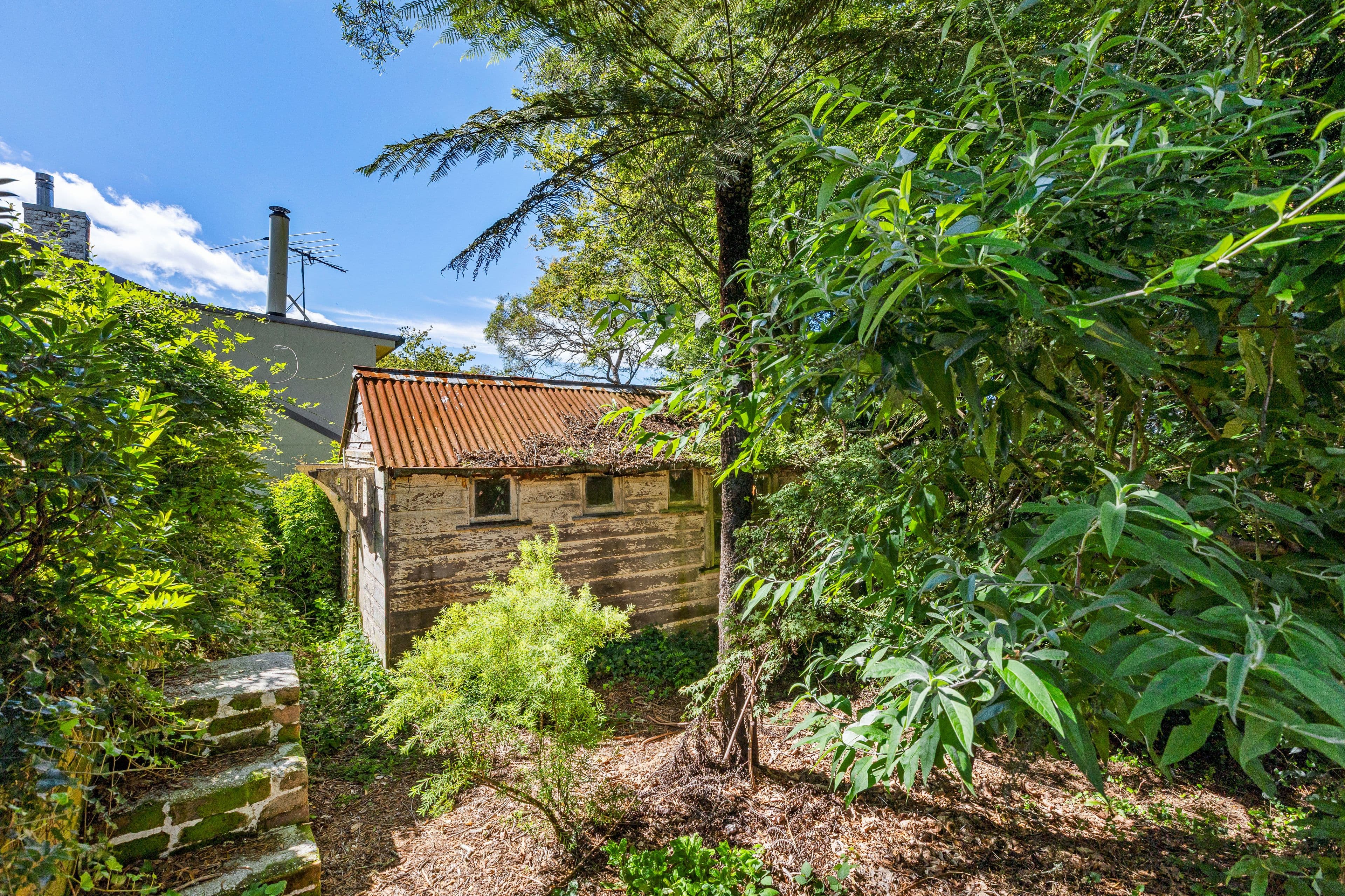 3 Carysfort Street, Blackheath NSW 2785, Blackheath - Thumbnail 4