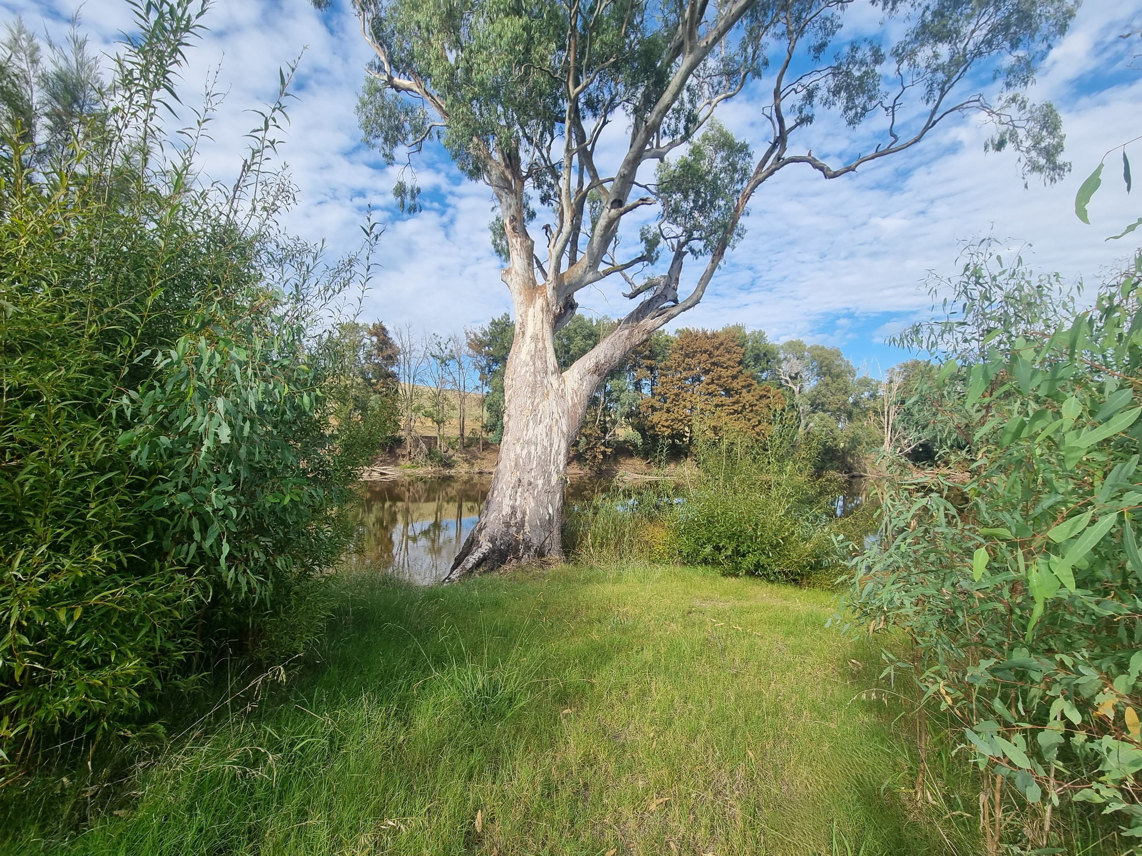 316 Riverside Drive, Jugiong NSW 2726, Jugiong - Thumbnail 3