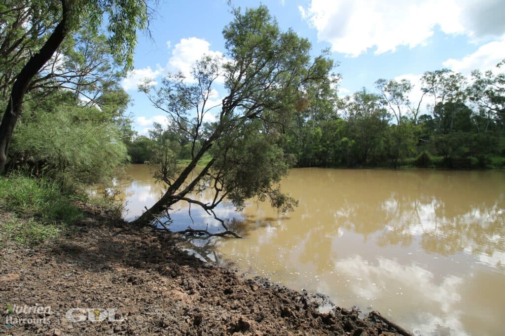 Lake Nash, Codenwarra Road, EMERALD QLD 4720, Emerald - Thumbnail 2