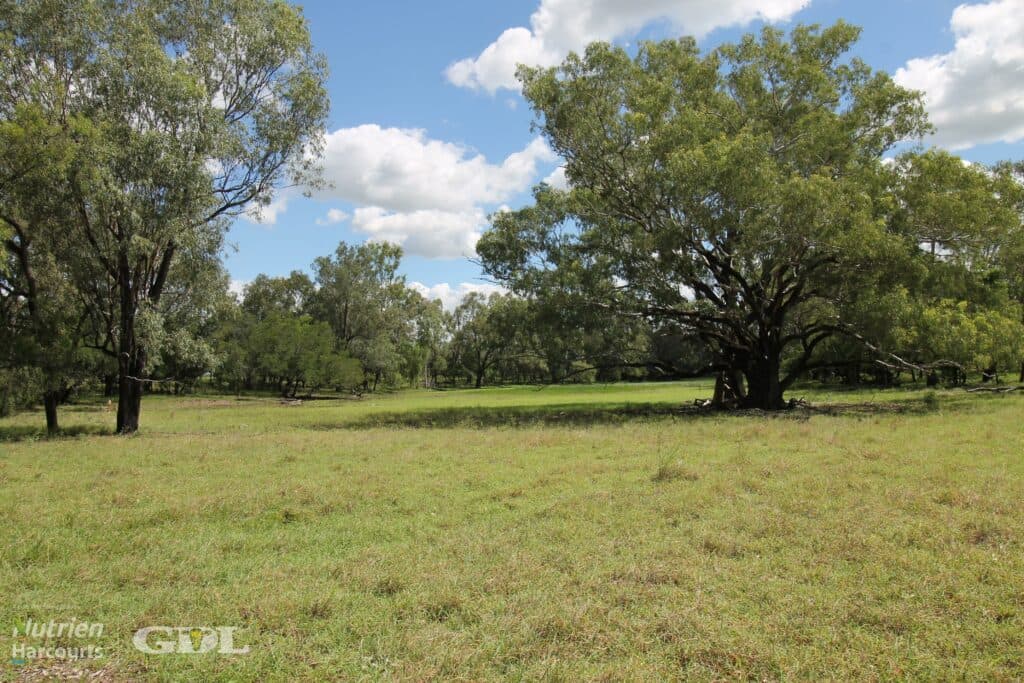 Lake Nash, Codenwarra Road, EMERALD QLD 4720, Emerald - Thumbnail 5