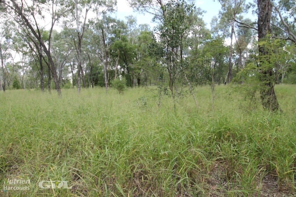 Lake Nash, Codenwarra Road, EMERALD QLD 4720, Emerald - Thumbnail 7