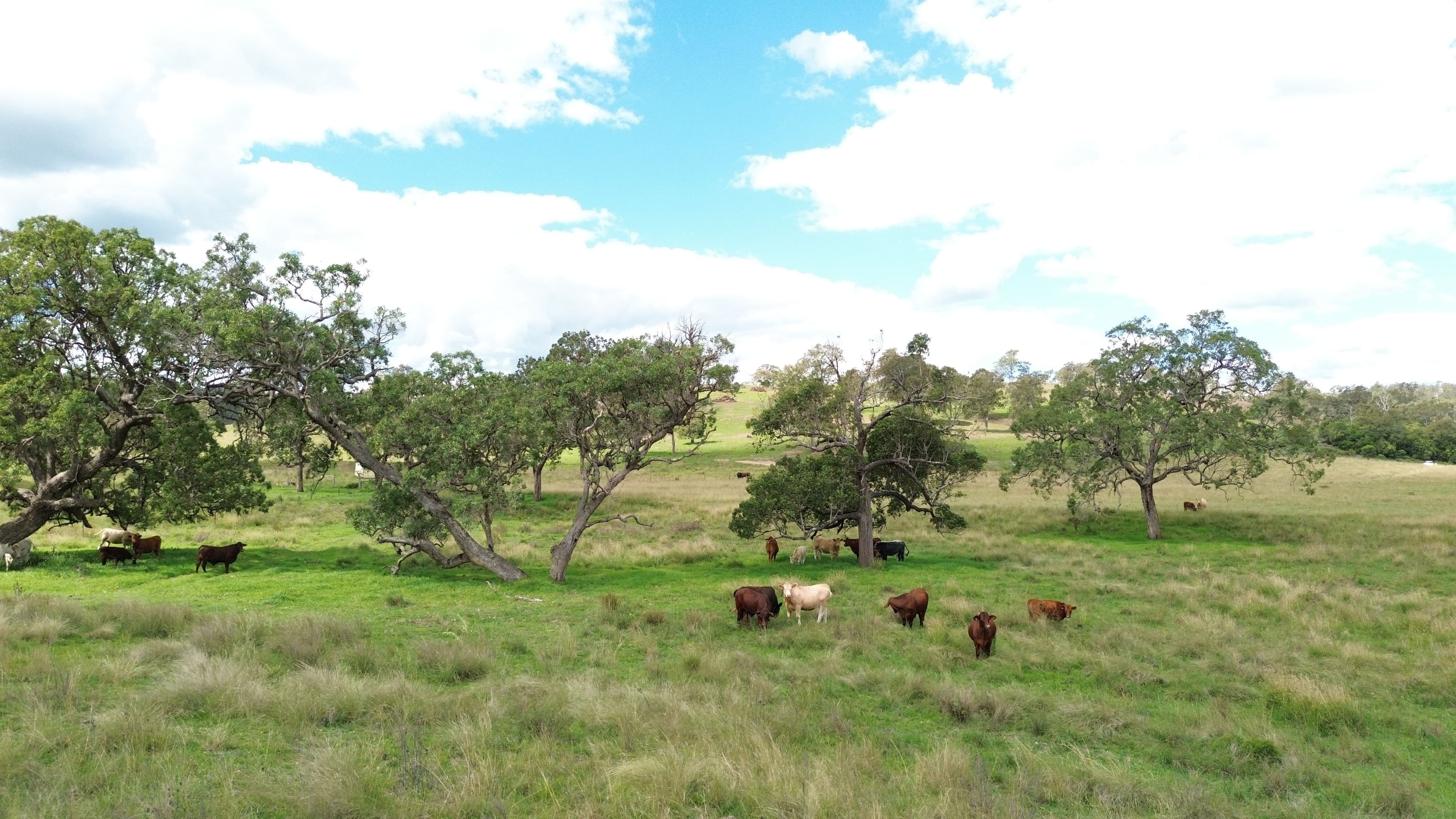 492 North Maclagan Road, Maclagan QLD 4352, Maclagan - Thumbnail 2