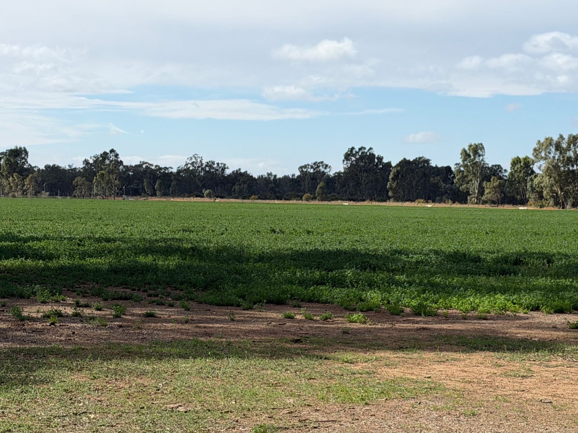 Lot 2/700 Madill Road, Undera VIC 3629, Undera - Image 1