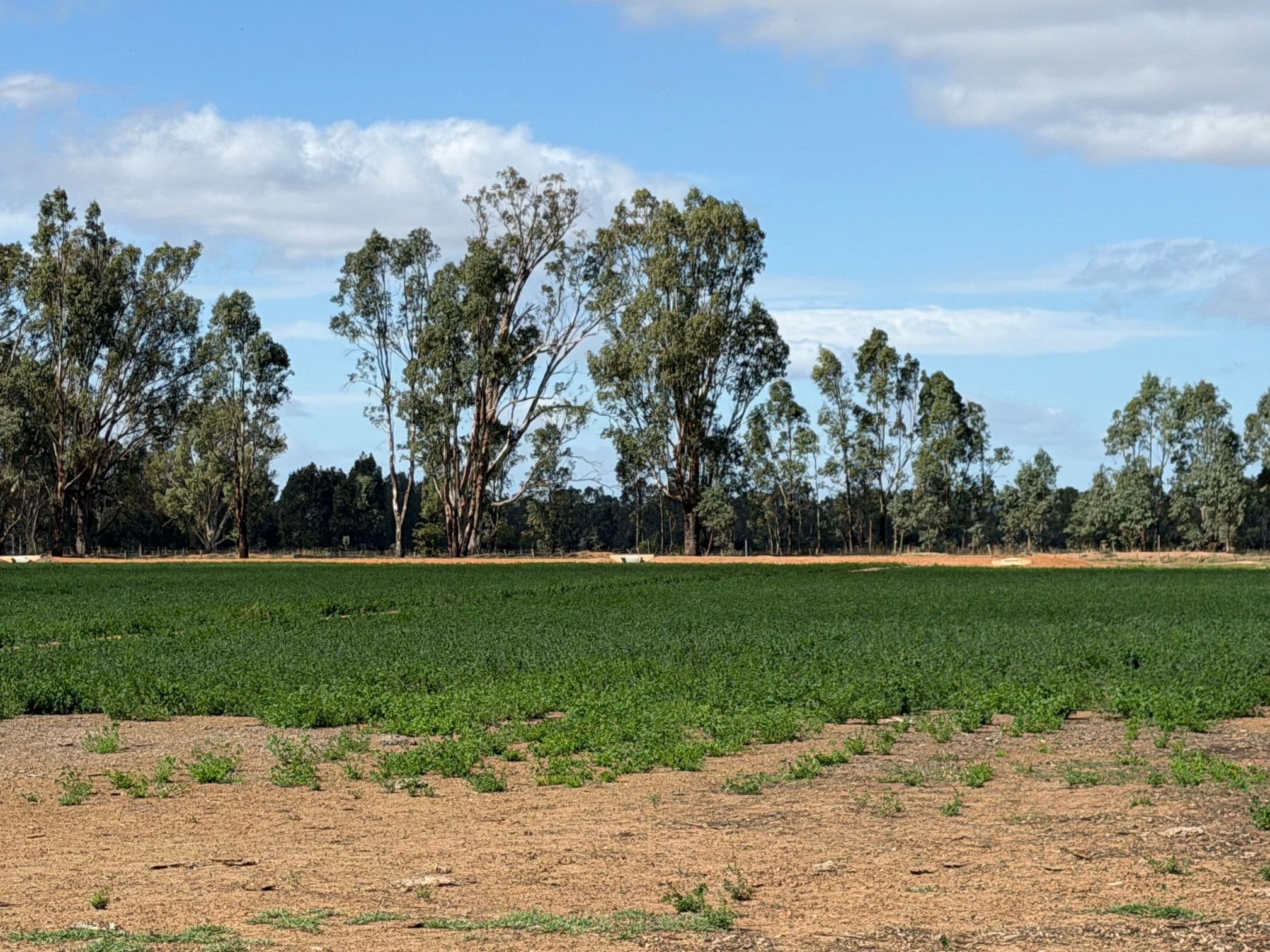 Lot 2/700 Madill Road, Undera VIC 3629, Undera - Thumbnail 2