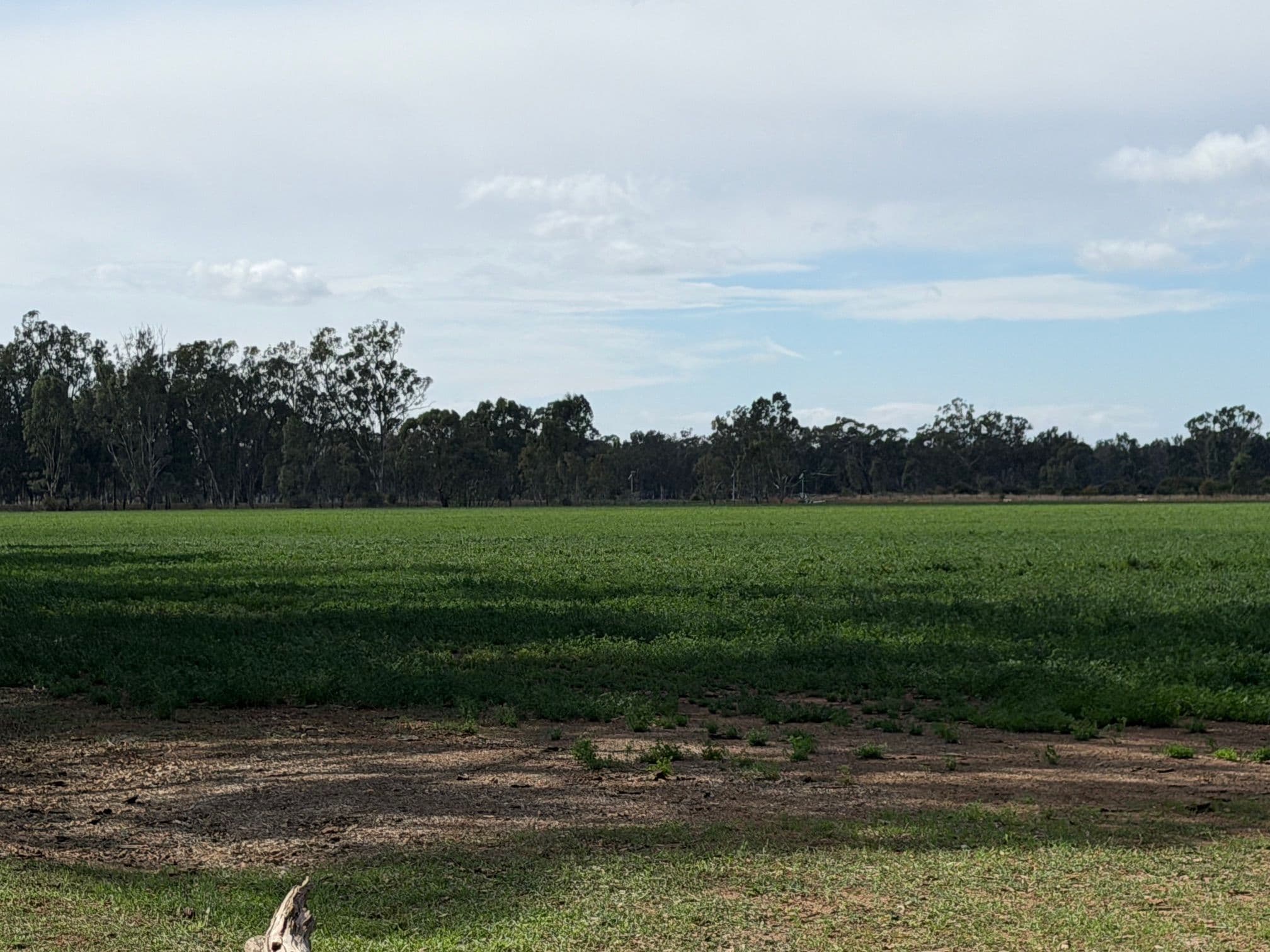 Lot 2/700 Madill Road, Undera VIC 3629, Undera - Thumbnail 3