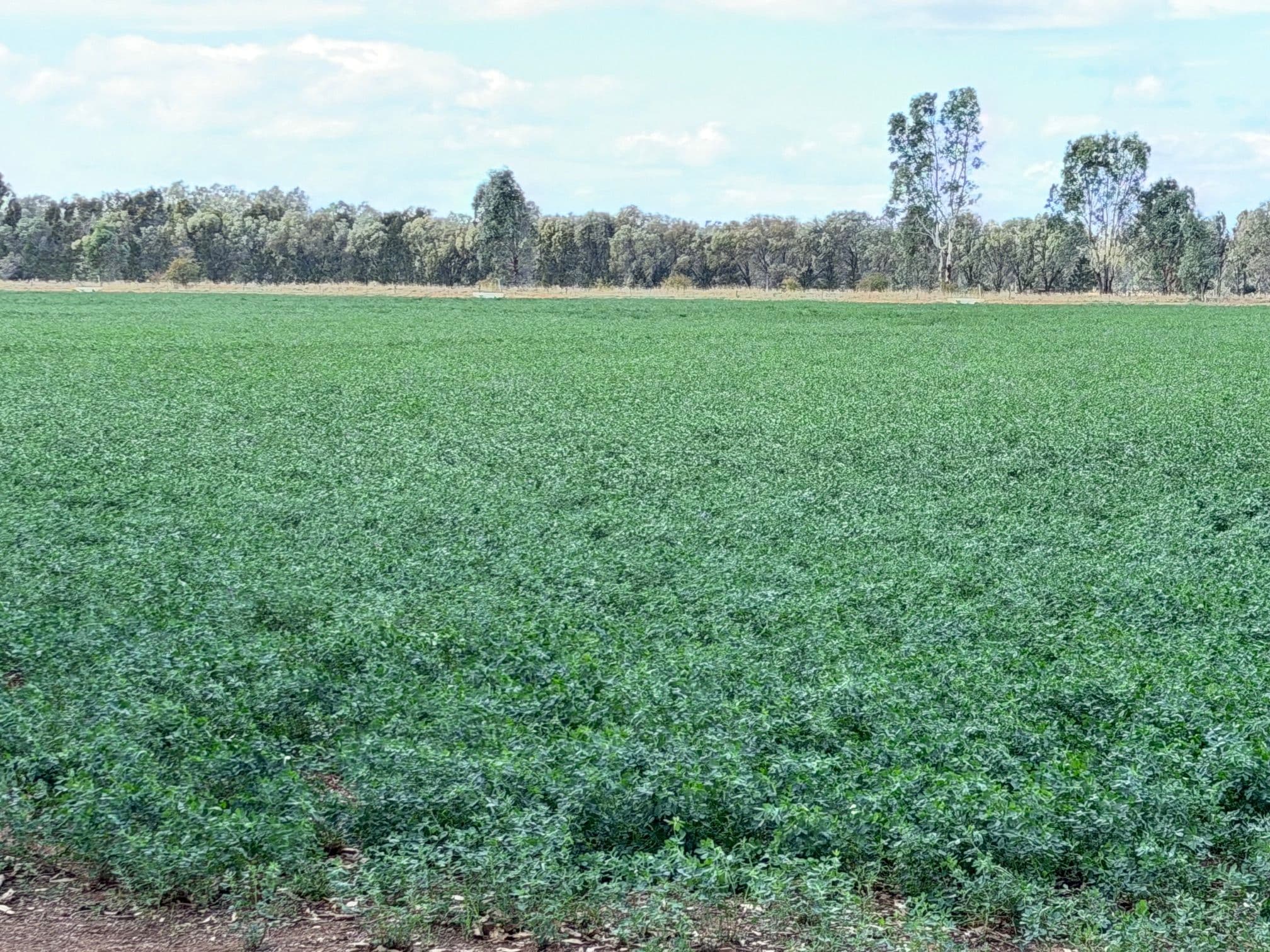 Lot 2/700 Madill Road, Undera VIC 3629, Undera - Thumbnail 4