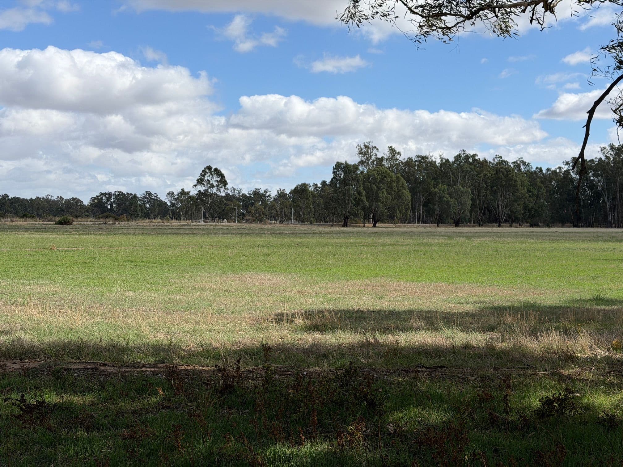 Lot 2/700 Madill Road, Undera VIC 3629, Undera - Thumbnail 7