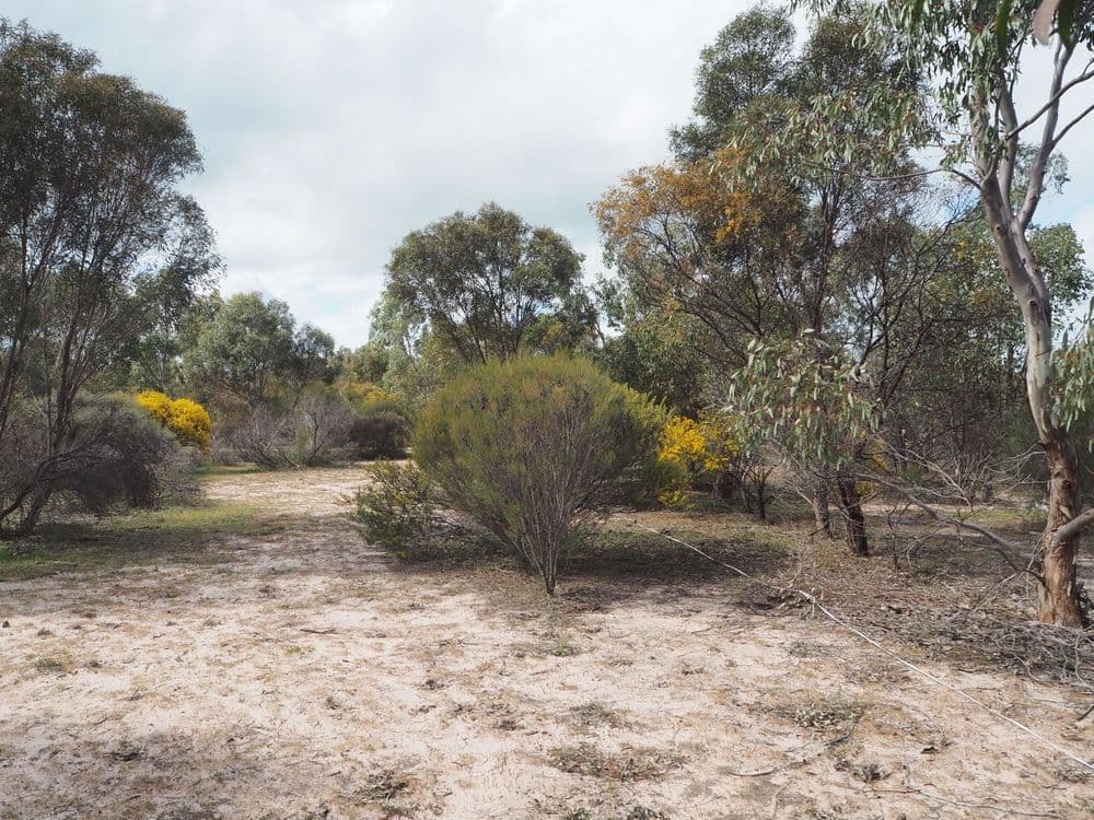lot 2 Mitre Road, NURCOUNG, VIC 3401, Nurcoung - Thumbnail 2