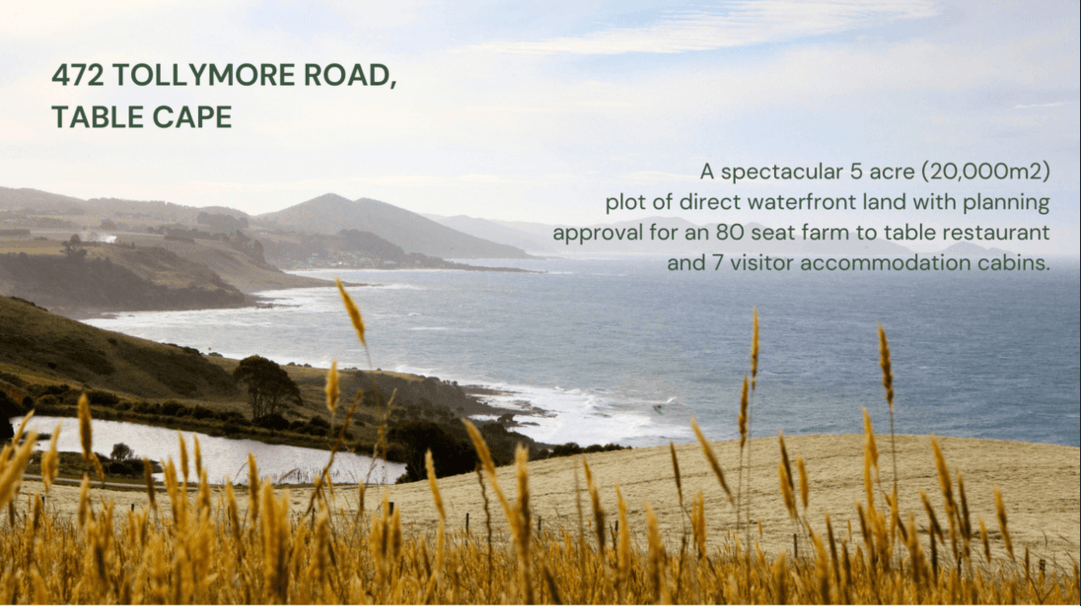 472 Tollymore Road, Table Cape, Table Cape - Thumbnail 3