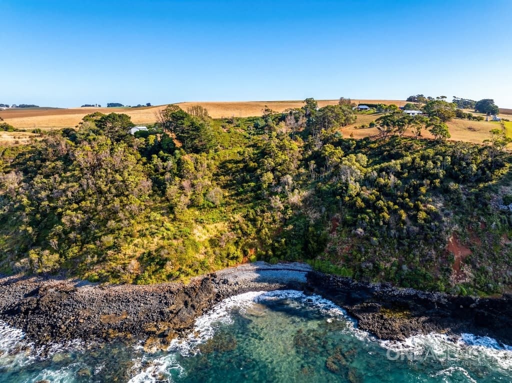472 Tollymore Road, Table Cape, Table Cape - Thumbnail 8