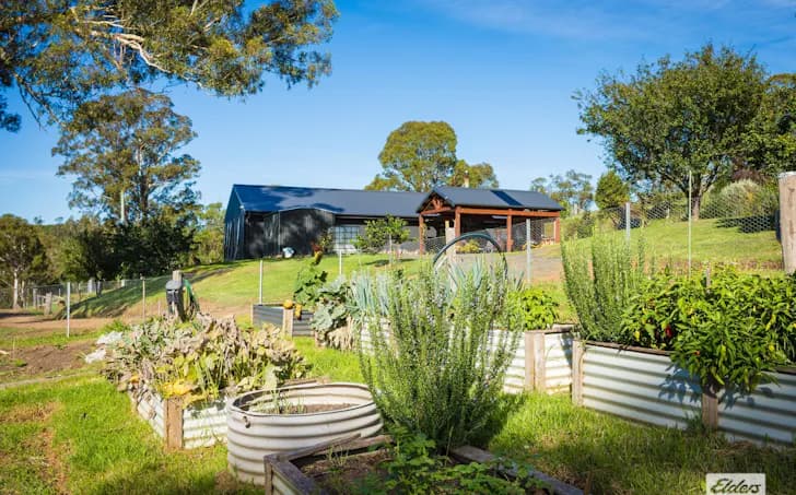 613 New Buildings Road, Wyndham, NSW, 2550, Wyndham - Thumbnail 2