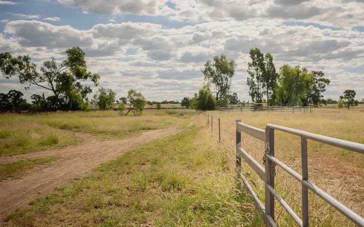 14 Hartleys Lane, Roma, QLD, 4455, Orange Hill - Image 1