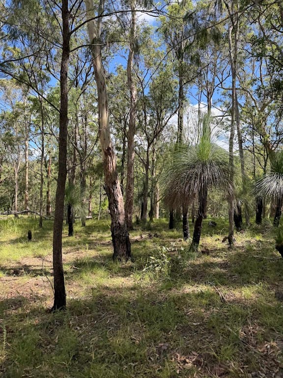 8454 Cunningham Highway, Tarome, QLD, 4309, Tarome - Thumbnail 6