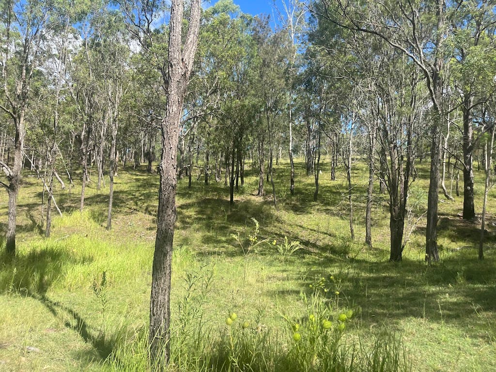 8454 Cunningham Highway, Tarome, QLD, 4309, Tarome - Thumbnail 7