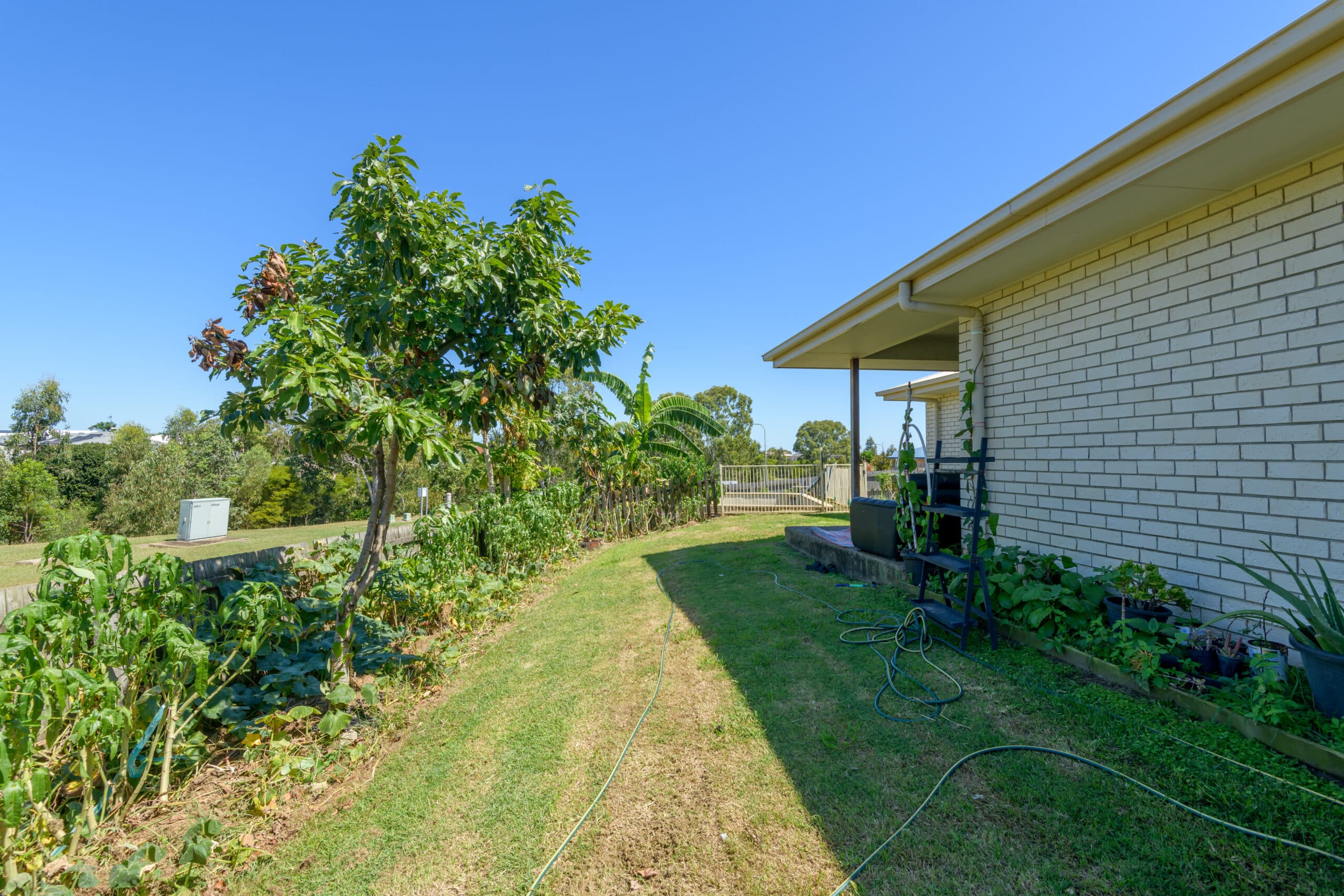 1 Wedgeleaf Place, Ashfield, QLD 4670, Ashfield - Thumbnail 5