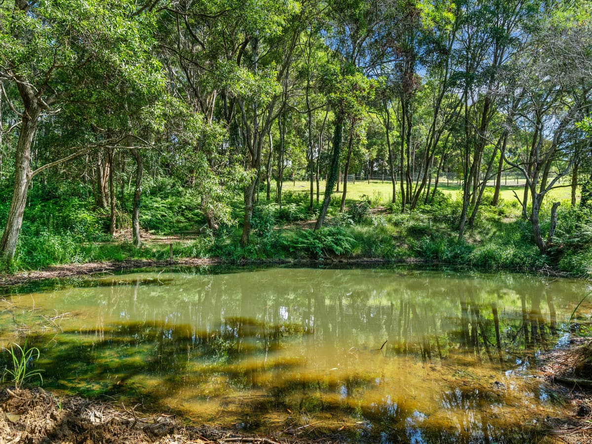 72 David Close, Ocean View QLD 4521, Ocean View - Thumbnail 7