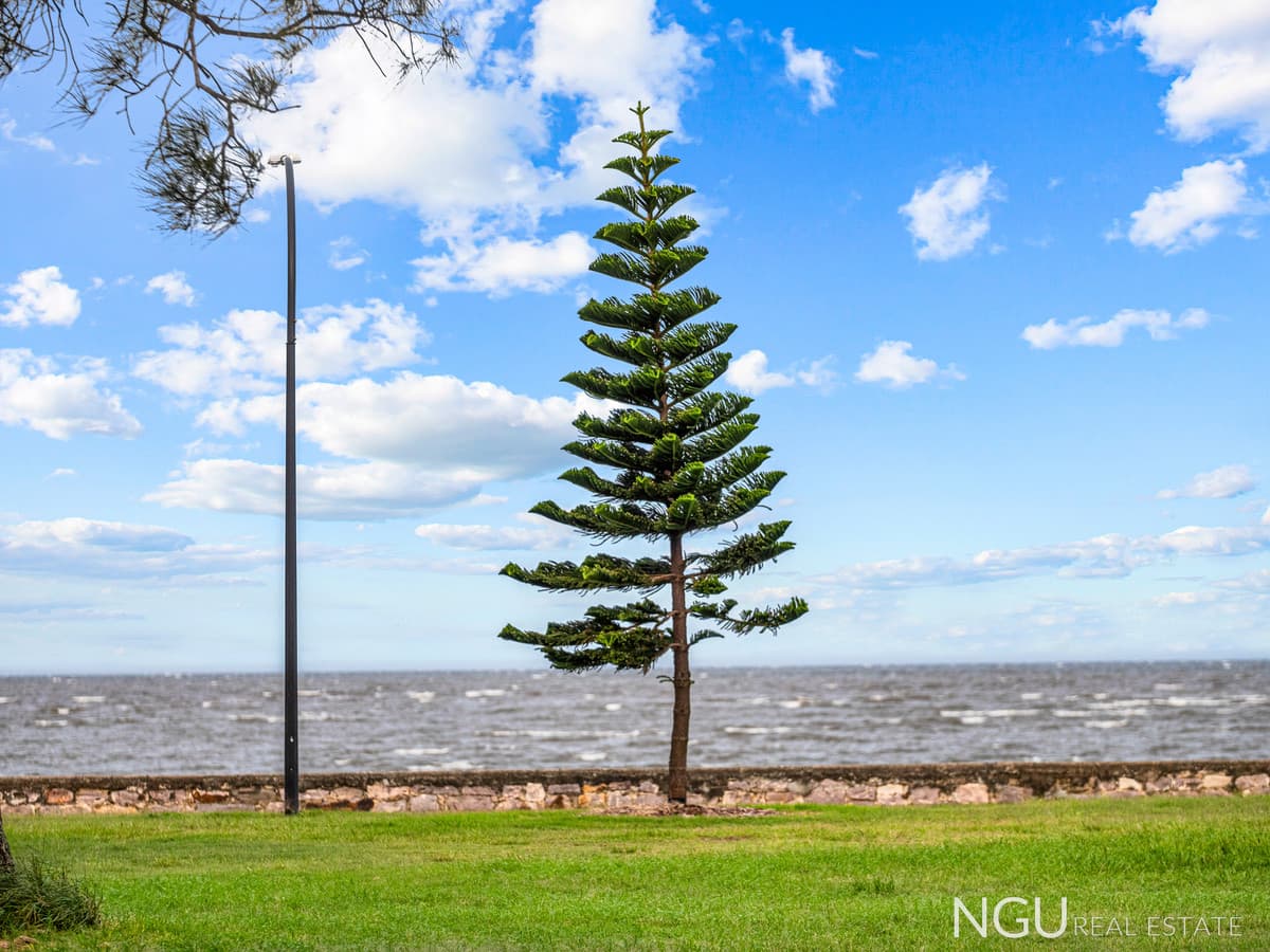 41 Capel Street, Brighton QLD 4017, Brighton - Thumbnail 7