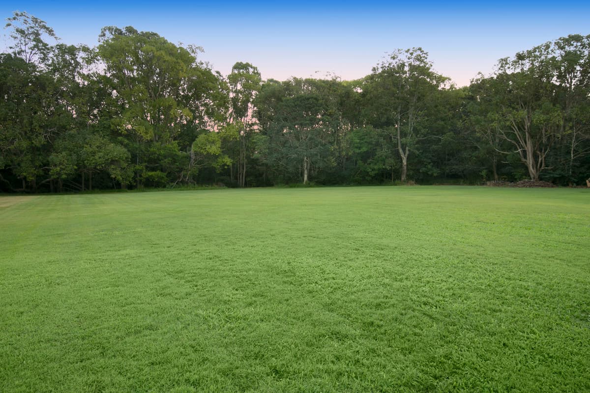 86 Tristania Road, Chapel Hill QLD 4069, Chapel Hill - Thumbnail 2