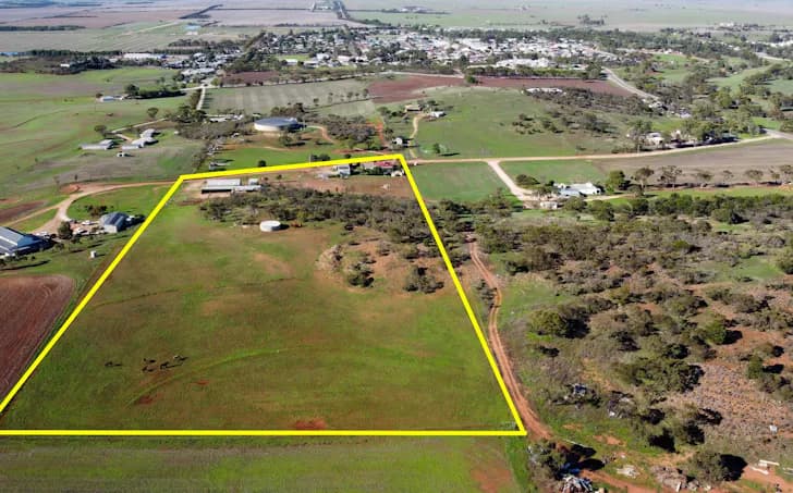 37 Cowley Road, Cleve, SA, 5640, Cleve - Thumbnail 3