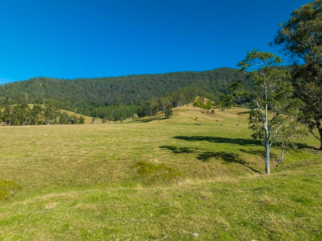 927 Cawongla Road, Larnook, NSW, 2480, Larnook - Image 1