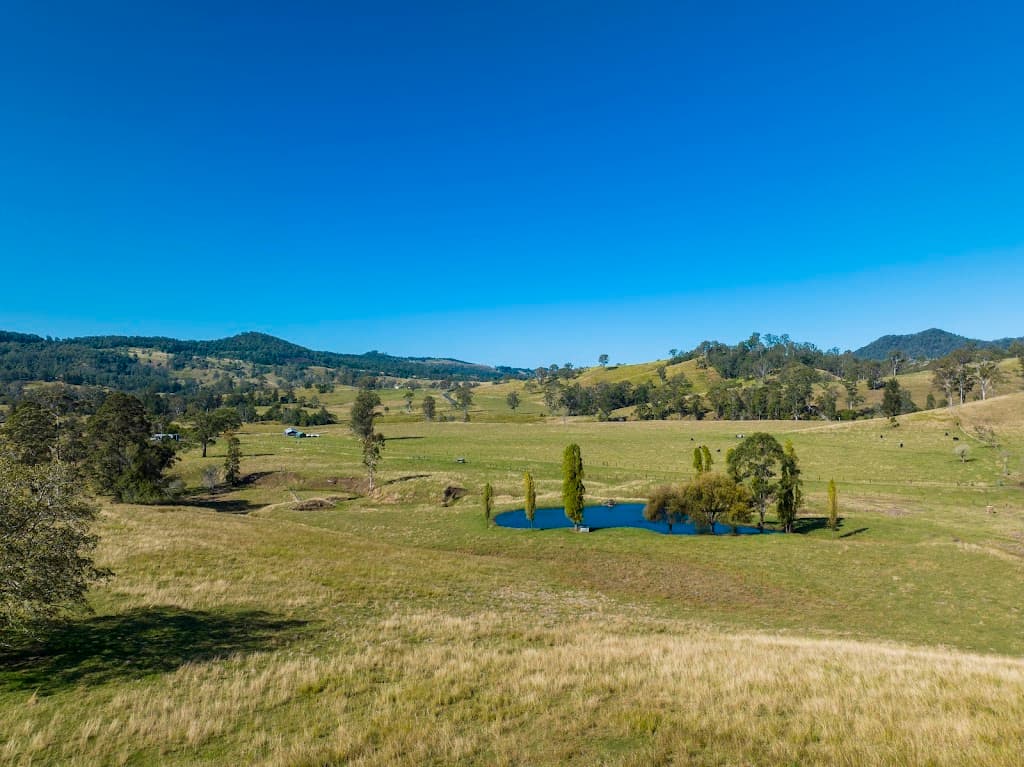 927 Cawongla Road, Larnook, NSW, 2480, Larnook - Thumbnail 2