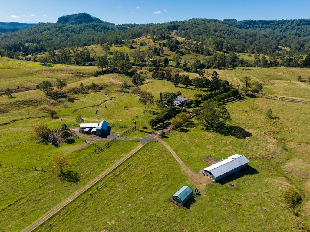 927 Cawongla Road, Larnook, NSW, 2480, Larnook - Thumbnail 3