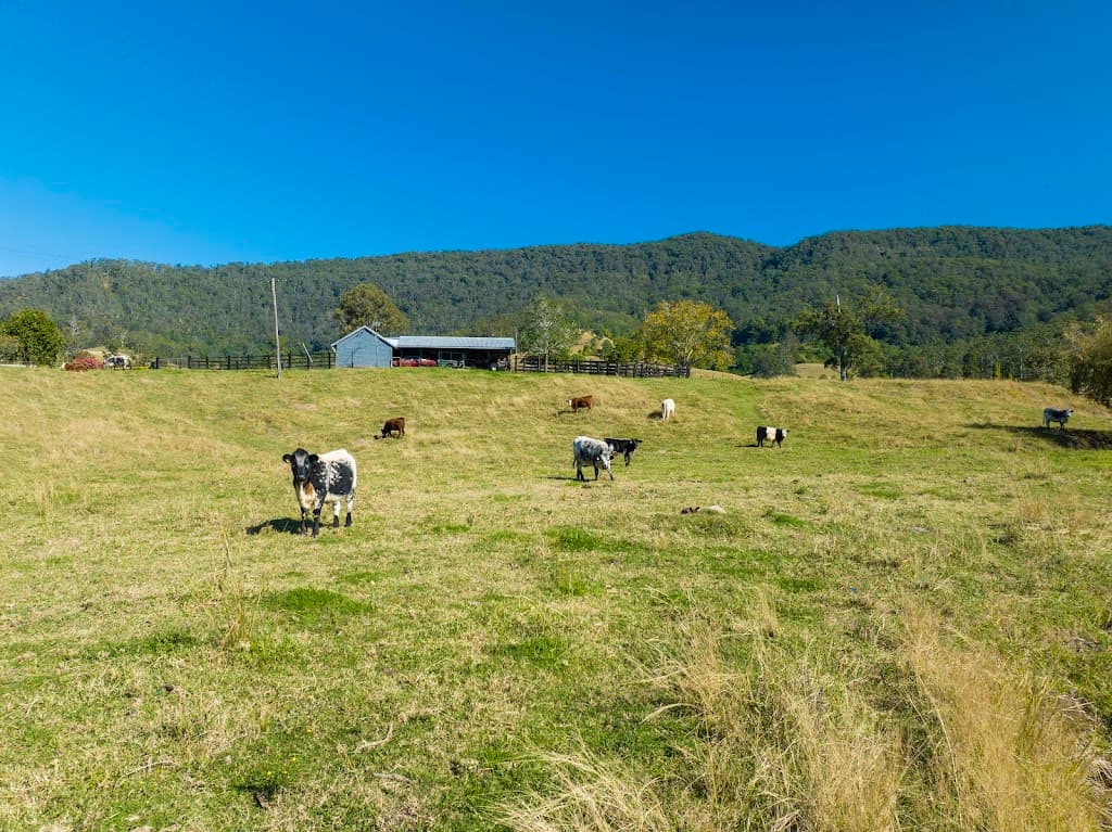 927 Cawongla Road, Larnook, NSW, 2480, Larnook - Thumbnail 7