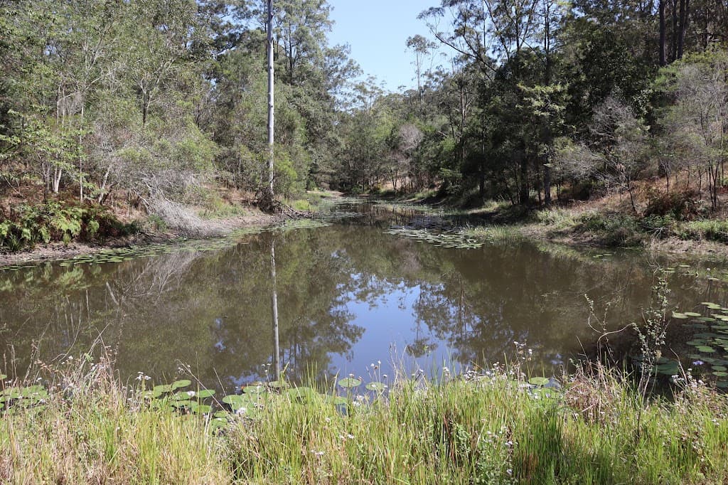 204 Young Road, North Deep Creek, QLD, 4570, North Deep Creek - Thumbnail 2