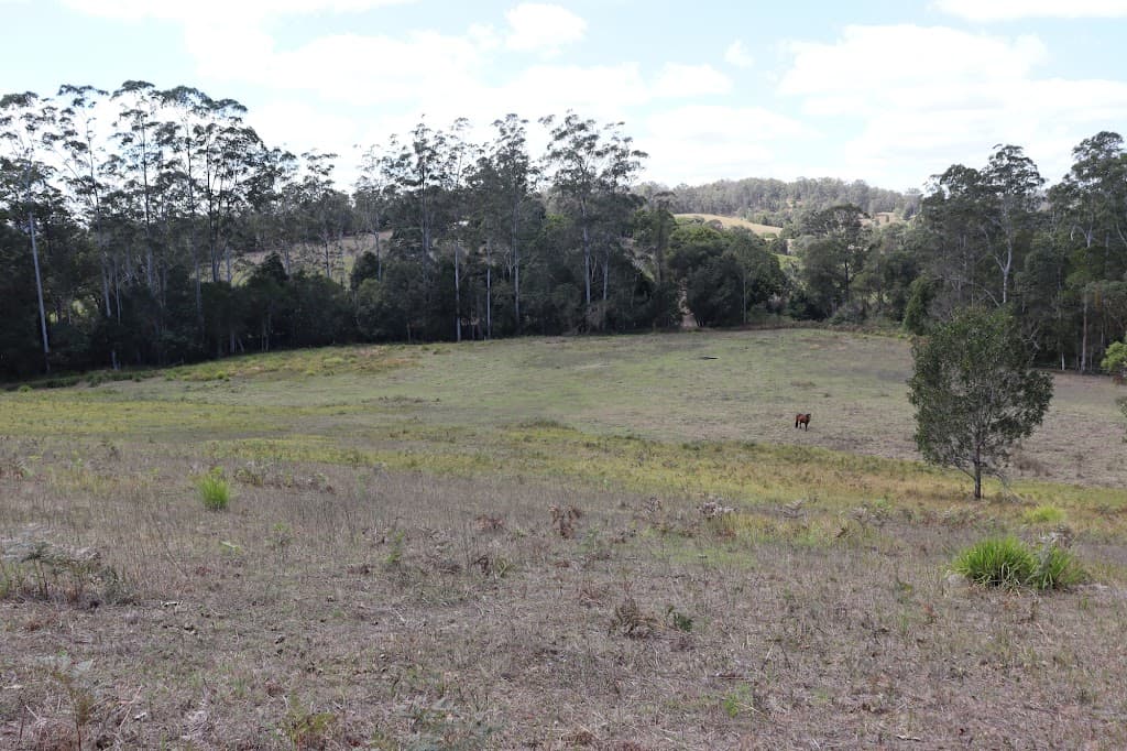 204 Young Road, North Deep Creek, QLD, 4570, North Deep Creek - Thumbnail 3