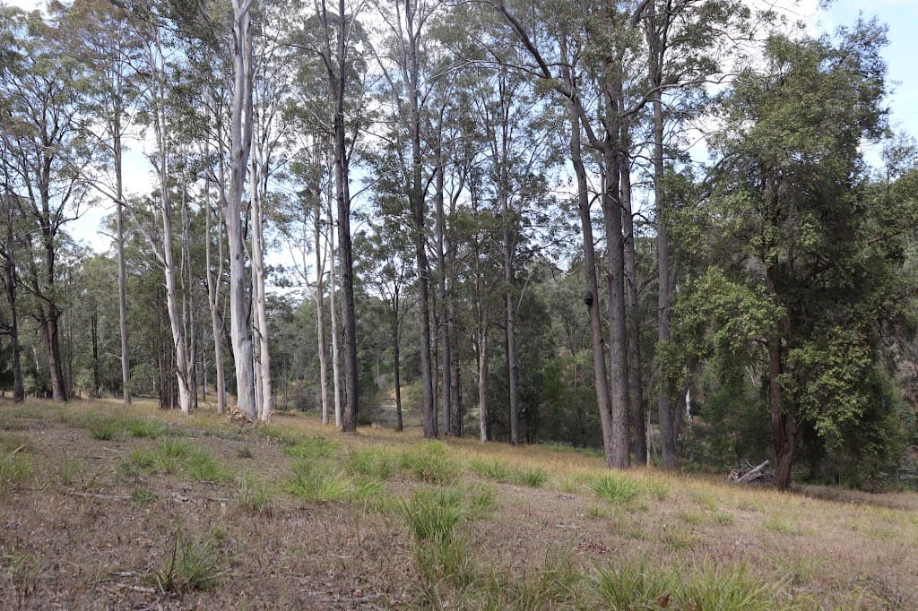 204 Young Road, North Deep Creek, QLD, 4570, North Deep Creek - Thumbnail 6